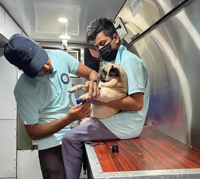 One-on-One Attention